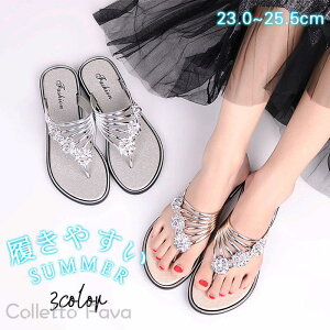 T_ fB[X r[`T_ t  Ȃ Xbp  ₷ y Oo s  v[ ][g ɂȂ ~