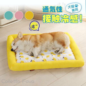 ybg xbh }bg nEX  \t@[ bV ڐG⊴ ⊴ ₽ p Lp ybgpi  n ΍  Ђ