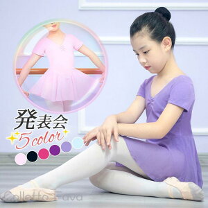 oG I^[h q LbY WjA s[X  XJ[gt bX _X oGߑ ct w Lk V̑ K \