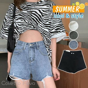 fjV[gpc fB[X t  _[WH Z  Y{ W[Y Zp 傫TCY {gX s i ̌^Jo[