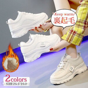 N fB[X Xj[J[  V[Y ~p {A ۉ g h ~C ʋ ʊw s O AEghA ₷