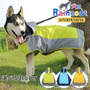 pCR[g ^ t[ht CR[g CJo[ J ̕ hbOEFA  J h o U ybgpi 킢