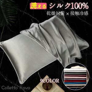 Jo[ VN Ж 48x74 s[P[X VN100 VNJo[ ڐG⊴   ΍ wAPA ێ s[Jo[  Q