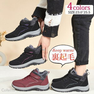 N fB[X Xj[J[ V[Y  JWA ~p {A ۉ g h C ʋ ʊw s O AEghA ₷