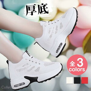 Xj[J[ fB[X X|[cV[Y bV  C ^C _CGbg Ȃ y ~ O W U ₷ d