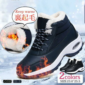 Xj[J[ Y N  [gu[c Xm[V[Y ~p {Au[c ۉ g h ʋΒʊw h s  ₷