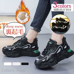 Xj[J[ Y V[Y N  JWAV[Y ~p {Au[c ۉ g h ~C ʋ ʊw h s  ₷