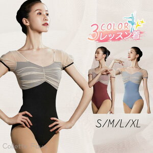 oGI^[h l  K \ ߑ WjA _X ̑ oGpi V̑ Xgb`  Be Z  ywZ ʐ