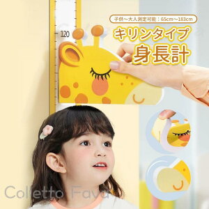 gv Ǔ\ }Olbg EH[XebJ[ LbY 킢 q    ct c ǂ g   CeA