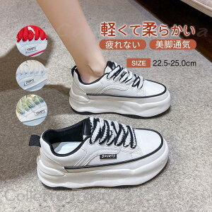  Xj[J[ fB[X C X|[cV[Y V[Y ~ h r r ₷ Ȃ ɂȂ ʋC Vv