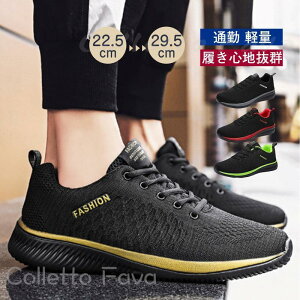 tV Y Xj[J[ fB[X jOV[Y tH ^C ʊw ʋ ʋC y WMO y 