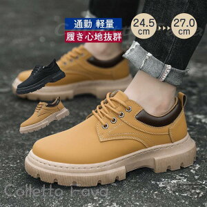 tV V[Y Y rWlXu[c  ƌC ~ h }Eeu[c [Nu[c V[gu[c ʋΒʊw Ȃ [Jbg