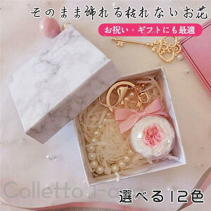 vU[uht[ Xgbv ̓ j a v[g  KN Mtg {[ ސEj Ǝ L[z_[ L[O 