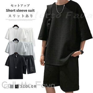 ㉺Zbg ZbgAbv TVc n[tpc  Y  [EFA   ̓ v[g j W[W XEFbg