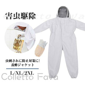 {Ip h앞 Ih앞 ̌^ tFCXlbg  2_Zbg Ȋ Q I 쏜 n`h앞 K[fjO  Ɨp  悯