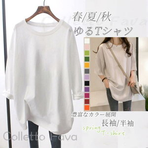   TVc  fB[X    H t n  JWA Ci[ gbvX  Vv gbvX ؍