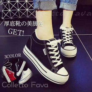 fB[X Xj[J[ ₷ EH[LO   X|[cV[Y ^C y ʋC Cq[ JWAV[Y C t H ɂ