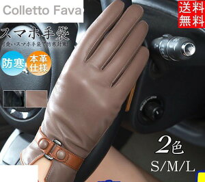 {vO[u fB[X U[O[u v p X}zΉ ~p n rv oCN h 5{w ۉ  ʋ ʊw Mtg