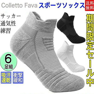 C \bNX Y  Ԃ X|[c\bNX 6g bV Zbg V[g\bNX X|[c RۖhL Eɂ g[jO