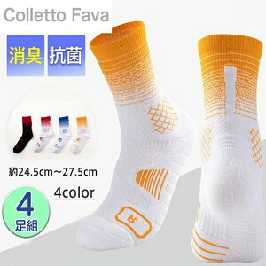 C Y X|[c\bNX \bNX 4g X|[c jO Ռz  ʋC C h~ R hL ~ Eɂ ^