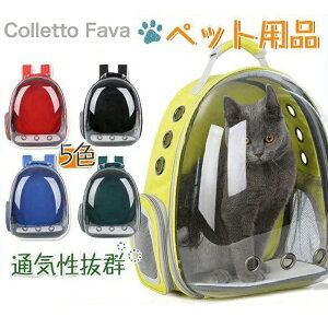 ybg L[obO LbN  FDJvZ^ ^Lpi LpiL[obO ybgpi y RpNg ʋCQ op