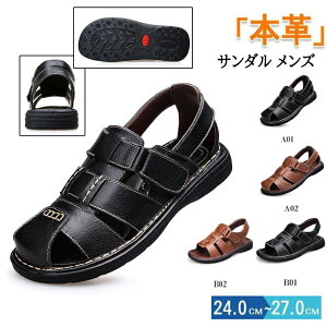 T_ Y JEU[T_ V[Y r[`T_ {v vC rWlXV[Y ʋCQ 芴 JWA ̓ v[g