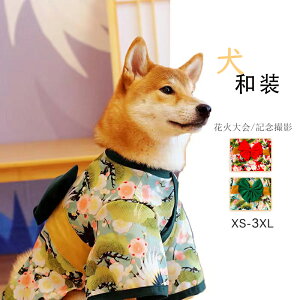 ^  ^  Ղ  ԉΑ ybgpߑ ybg a  LOBe  a  ܎O  j ꒅ