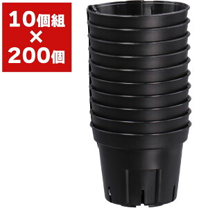 S|bg 75^ 10g AbvEFA[ c|bg ||bg c |bg   Xbg ϗtA  A  Xbg