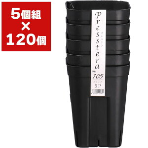 vXe [105^ 5g AbvEFA[ c|bg ||bg c |bg   Xbg ϗtA  A  Xbg