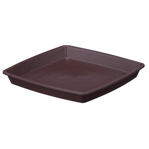 NtgXNGAv[g 25^ _[NuE AbvEFA[ M