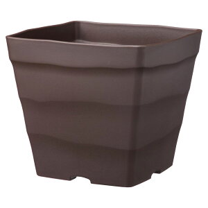 NtgXNGA 25^ 30^ zCg _[NuE AbvEFA[ 