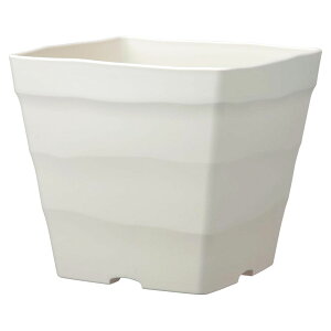 NtgXNGA 25^ 30^ zCg _[NuE AbvEFA[ 