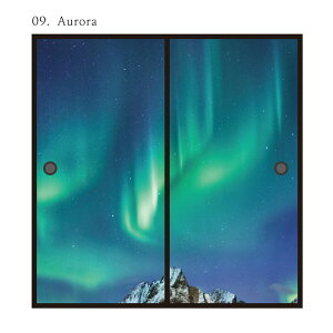 ӂ܎ 悤 S11 91cm×182cm 21g œ\^Cv ATqy ւ   CeA DIY