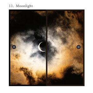 ӂ܎ 悤 S11 91cm×182cm 21g œ\^Cv ATqy ւ   CeA DIY