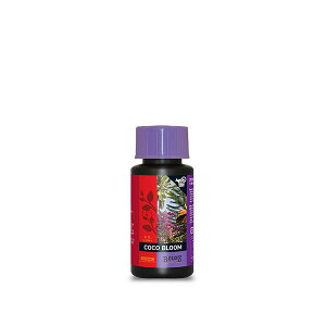 B'CUZZ COCO BLOOM STIMULATOR (�r�[�J�Y �R�R �u���[�� �X�e�B�~�����[�^�[) 100ml ATAMI �J�ԑ��i�� �� �J�ԑ��i ��� �J�ԑ��i �A�� �J�ԑ��i �R�R���V�͔|�p