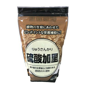 엿 _ 800g 勦 엿 C 엿 } 엿  엿 ؔ엿 엿 J엿 엿 엿 M1