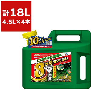  A[X J}CY  4.5L×4{ A[X A[XK[f     t  ȒP Gh