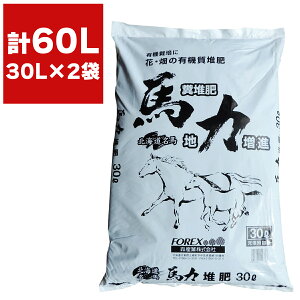 kCY ͔ ԁE̗L@͔ n͔͑ 30L ×2 FOREX n͔ yǍ L@͔|  |pi K[fjO K[fjOpi |