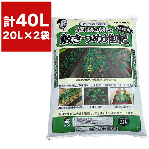 kCY o[N͔ m炸̕~ߑ͔ 20L ×2 ͑ʕv̂炭炭|V[Y FOREX ͔ o[N͔ n ӂ͔ n͔ yǍ