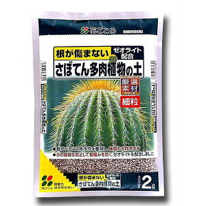 |{y T{eA̓y 2L Ԃ |{y A |{y T{e |{y A y T{e y A̓y T{e̓y T{e Aւ y