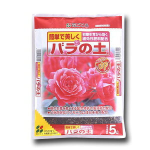 |{y o̓y 5L Ԃ |{y o |{y o y o py o̓y KN y KN py KN |{y KN̓y 엿py y 엿 |y