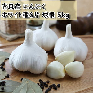 XY zCg6Ђɂɂ 5kg TCY ݋ jjN͔| Y p ɂɂ zCg 