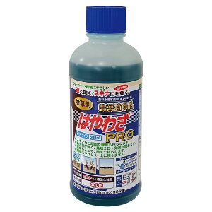 ���i�摜