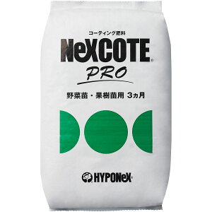 엿 lNXR[gv ؕcEʎcp 3 25kg nC|lbNX 엿  엿 ʎ 엿 Ɩp 엿 25kg 엿 Yp엿 ؔ엿 z엿