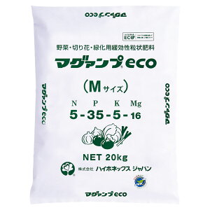 엿 }O@veco 20kg nC|lbNX 엿 Ő 엿  엿 20kg 엿 Ɩp 엿  Ɩp 엿 Ő̔엿 ؔ엿