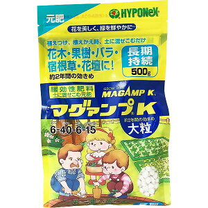 엿 }O@vK 嗱 500g nC|lbNX 엿  엿 Ő 엿  엿  엿 o 엿 o̔엿 Ő̔엿 엿 ؔ엿 Ɍ엿 M1