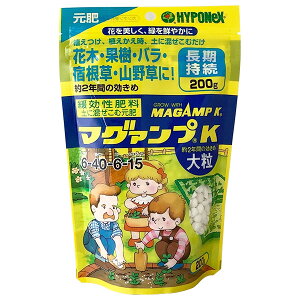 엿 }O@vK 嗱 200g nC|lbNX 엿  엿 Ő 엿  엿  엿 o 엿 o̔엿 Ő̔엿 엿 ؔ엿 Ɍ엿 M4