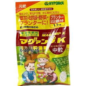 엿 }O@vK  1.1kg nC|lbNX 엿  엿 1.1kg 엿  엿 o 엿 ؔ엿 엿 Ő 엿 Ő̔엿 o엿 o̔엿