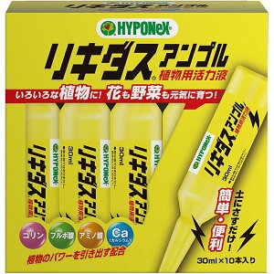 L_X Av Ap͉t 30ml×10{ nC|lbNX ͍ A ͍  ͍  ͍ o ͍ t{_ ͍ A͍