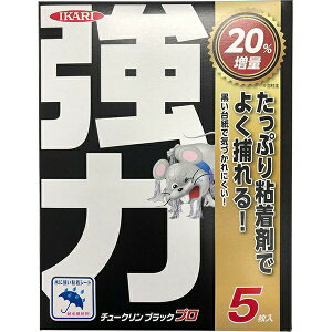  `[NubNv 5 CJ lY~߂ SV[g lY~ ˂݂Ƃ lY~SV[g lY~߂V[g ˂ SV[g ߊlS